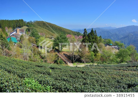 Mountain Scenery - Hsinchu Wufeng Mountain People, Taiwan 38915455