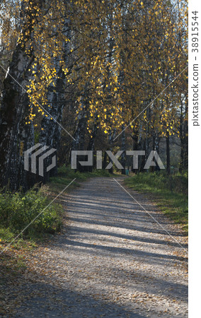 Autumn landscape with a path 38915544