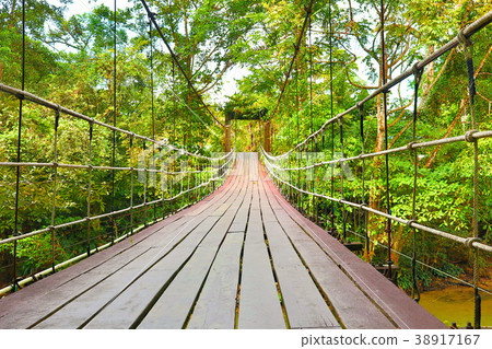 Suspension bridge in the jungle Gunung Mulu National Park Suspension bridge in the jungle Gunung Mulu National Park 38917167