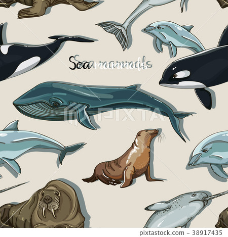 Sea mammals animal collection icons pattern 38917435