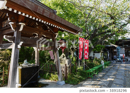 茨城 茨城 38918296