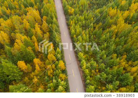 aerial shot of trail in the autumn forest  38918903