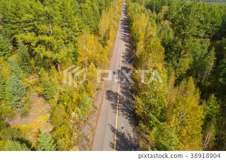 aerial shot of trail in the autumn forest  38918904