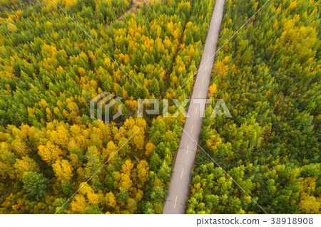 aerial shot of trail in the autumn forest  38918908