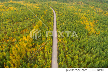 aerial shot of trail in the autumn forest  38918909