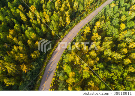 aerial shot of trail in colorful autumn forest 38918911