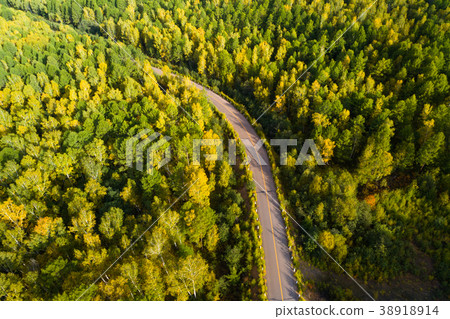 aerial shot of trail in colorful autumn forest 38918914