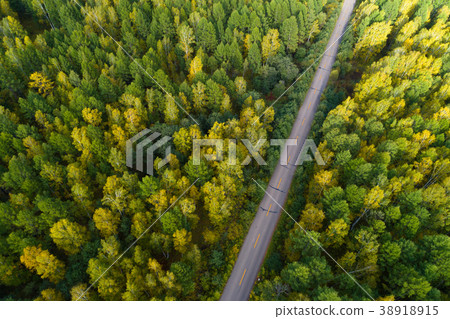 aerial shot of trail in the autumn forest   38918915
