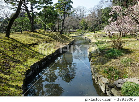 在小石川後樂園流淌的小溪 在小石川後樂園流淌的小溪 38919009