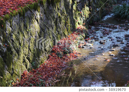 the Tofuku ji temple garden with Fall Foliage the Tofuku ji temple garden with Fall Foliage 38919670