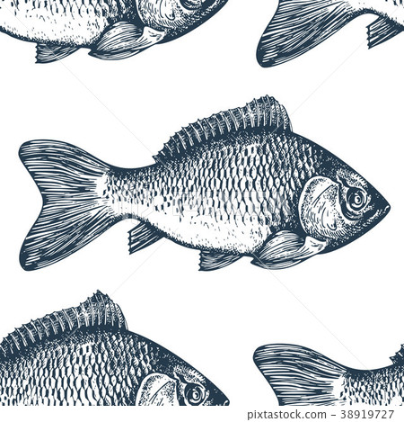 Hand drawn sketch seafood background. Vector Hand drawn sketch seafood background. Vector 38919727