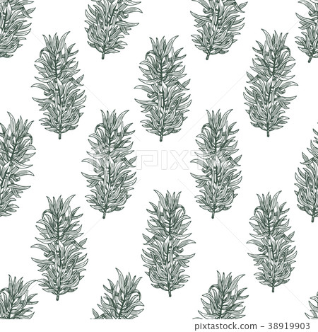 Tarragon. Vector seamless pattern with estragon Tarragon. Vector seamless pattern with estragon 38919903