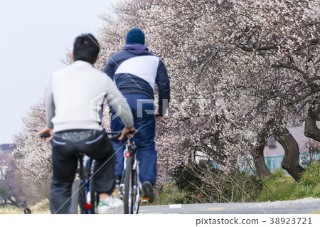 People who enjoy spring by bicycle 38923721