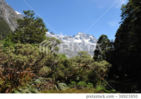 Lake Marian Trekking Route Lake Marian Trekking Route 38923950