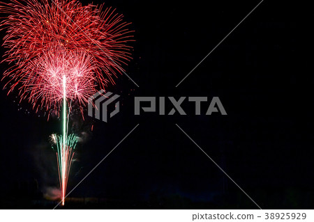 Summer Night Flowers (2) Summer Night Flowers (2) 38925929