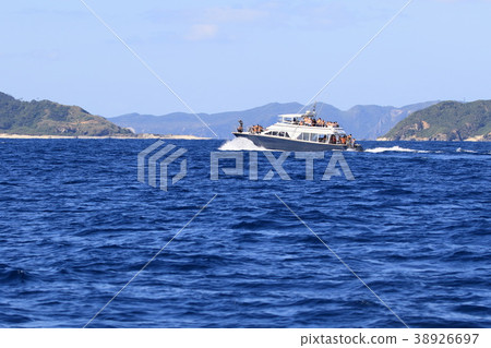 Whale watching 38926697