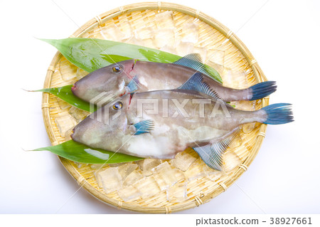 Horse mackerel lahagi ingredients 38927661