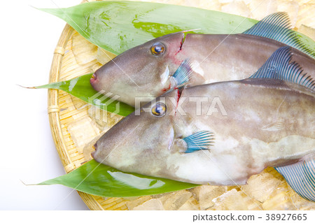 Horse mackerel lahagi ingredients 38927665