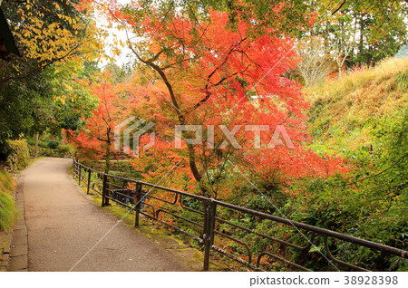 秋葉三千個房子 38928398