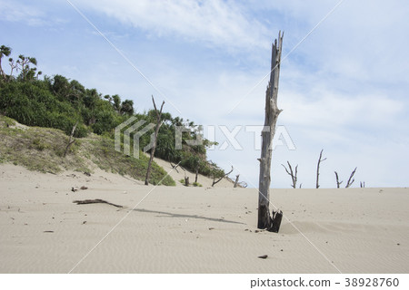 Hong Kong Desert Scenic Area Hong Kong Desert Scenic Area 38928760
