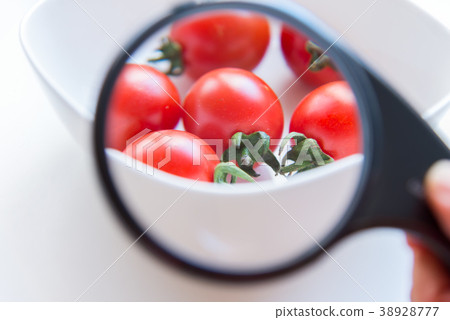 西紅柿的健康益處西紅柿的健康益處 西紅柿的健康益處西紅柿的健康益處 38928777