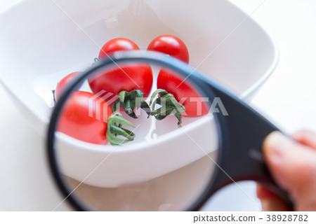 Health benefits of tomatoes Health benefits of tomatoes 38928782