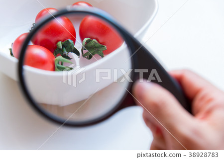 Health benefits of tomatoes Health benefits of tomatoes Health benefits of tomatoes Health benefits of tomatoes 38928783