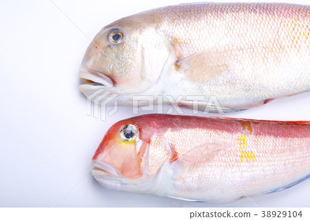 White sweet potato ingredients White sweet potato ingredients 38929104