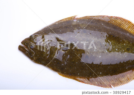 Hirame成分 38929417