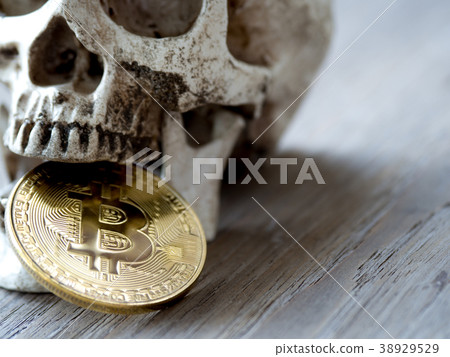 Close up of Skull biting Golden bitcoin on wooden 38929529