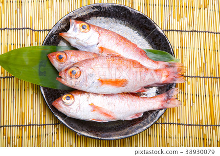 Nodoguro成分 38930079