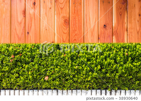 Green Leaves on Wood texture background Green Leaves on Wood texture background 38930640