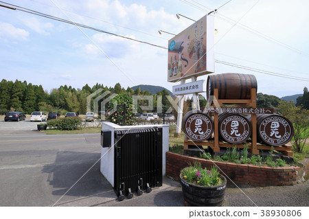 田島Shuzo 田島Shuzo 38930806