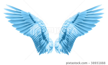 Natural blue wing plumage 38931888