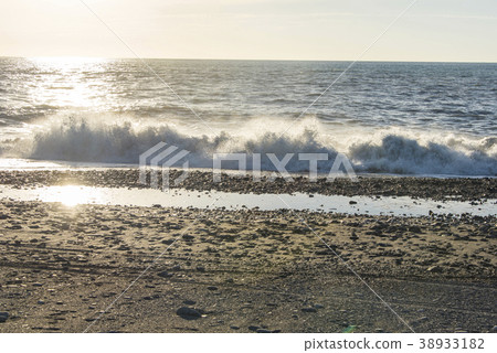 金崙海灘漂流木 38933182