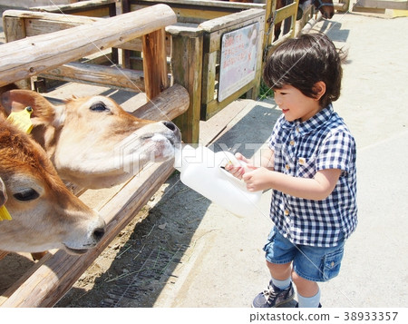 Fun milk experience Fun milk experience 38933357