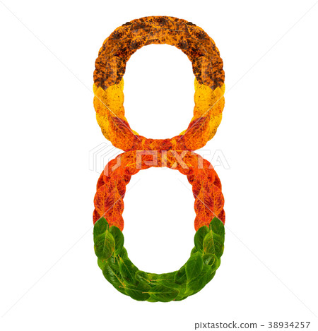 Autumn leaves bright number eight 8. Natural multi Autumn leaves bright number eight 8. Natural multi 38934257