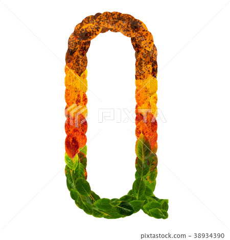 Autumn leaves bright letter Q. Natural multi Autumn leaves bright letter Q. Natural multi 38934390