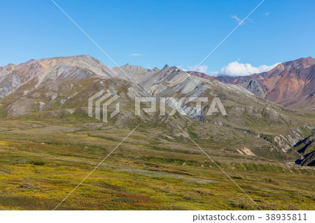 Denali National Park Alaska Landscape 38935811