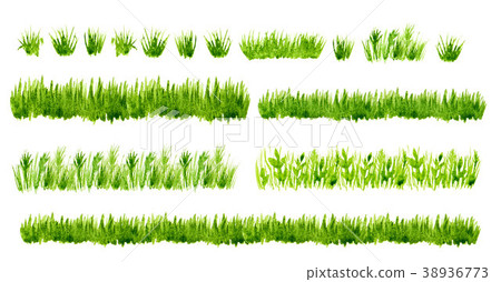 Watercolor green grass borders set isolated Watercolor green grass borders set isolated 38936773