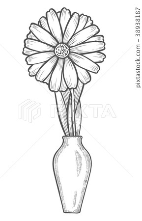 Vase with chamomile Vase with chamomile 38938187