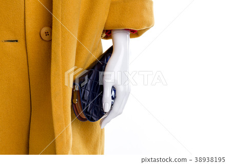 Women cashmere coat, wallet, copy space. 38938195