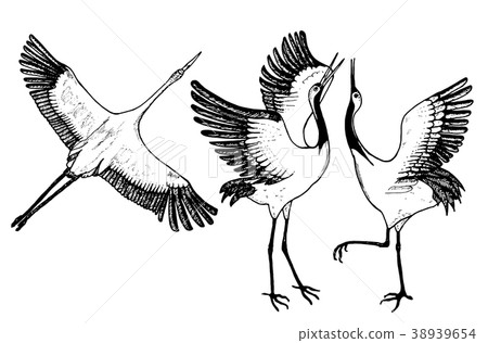 Wild birds in flight. Animals in nature or in the 38939654