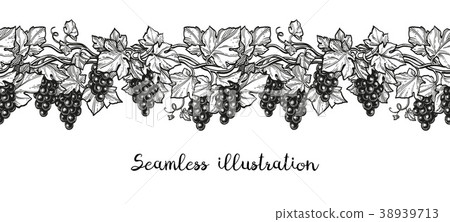 Seamless illustration of grapes. Seamless illustration of grapes. 38939713