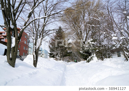 Sapporo Shiroishi Cycling Road (near Shiroishi Kokoro Nango Dori 9th Street) 38941127