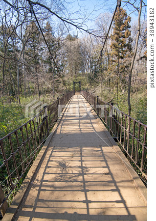 National Musashi hill forest park Azami Kubobishi National Musashi hill forest park Azami Kubobishi 38943182