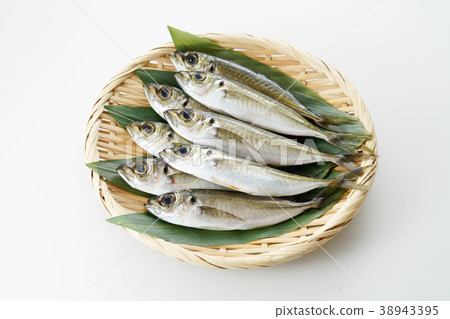 Small horsebeam Small horsebeam 38943395