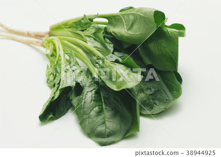 spinach spinach 38944925