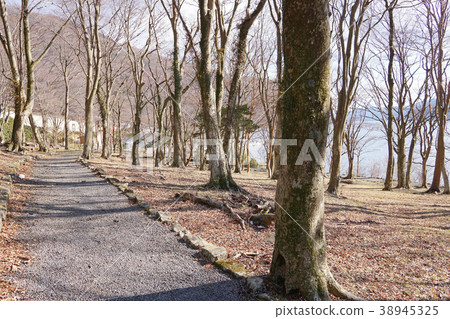 Lakeside contact park 38945325