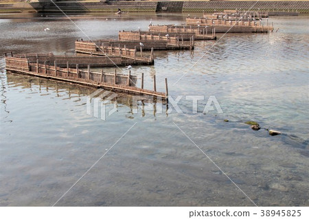 White fish fishing White fish fishing 38945825